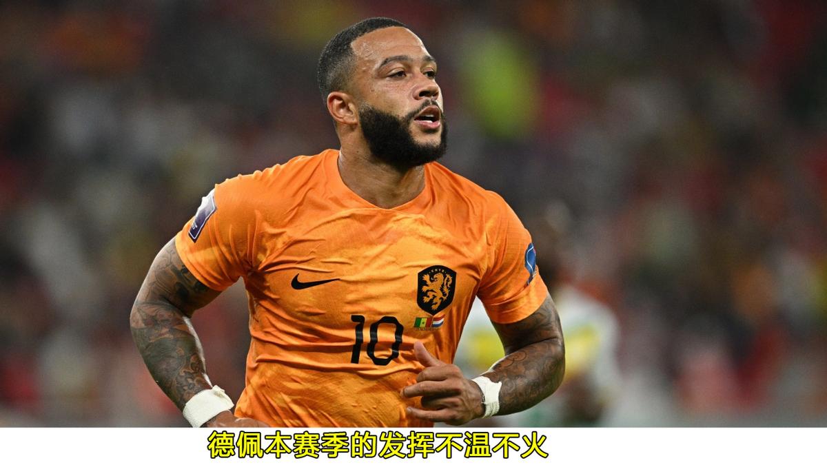 世界杯荷兰塞内加尔预测,荷兰vs阿根廷荷兰能进球吗