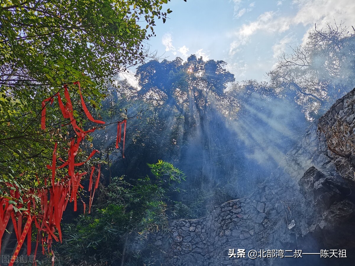 为口不辞劳跋涉，愿风吹我到钦州，舌尖钦州的好物魅力