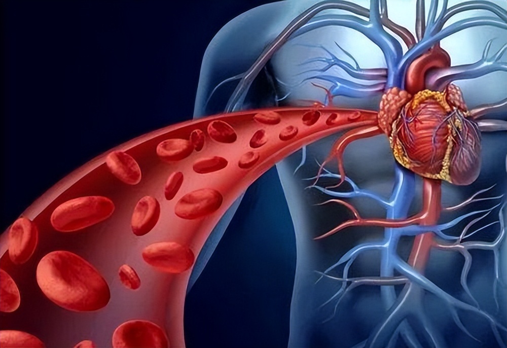 人为啥喜欢吃高钠食物,如何避免摄入高盐