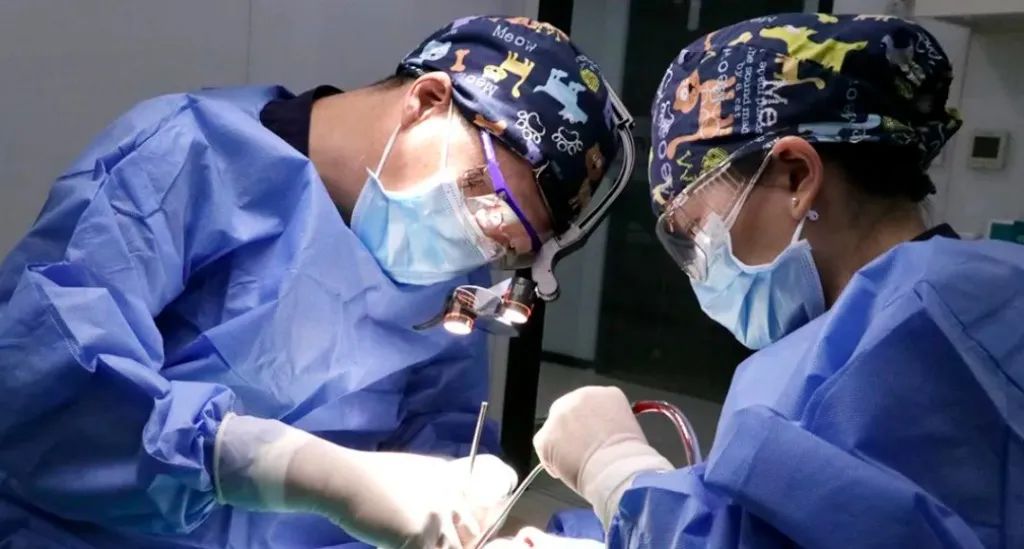 种植体长度12毫米会不会碰到神经,种植体离神经几毫米安全