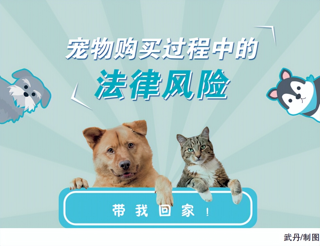 对购买宠物法律如何规定的,购买宠物纠纷法律咨询