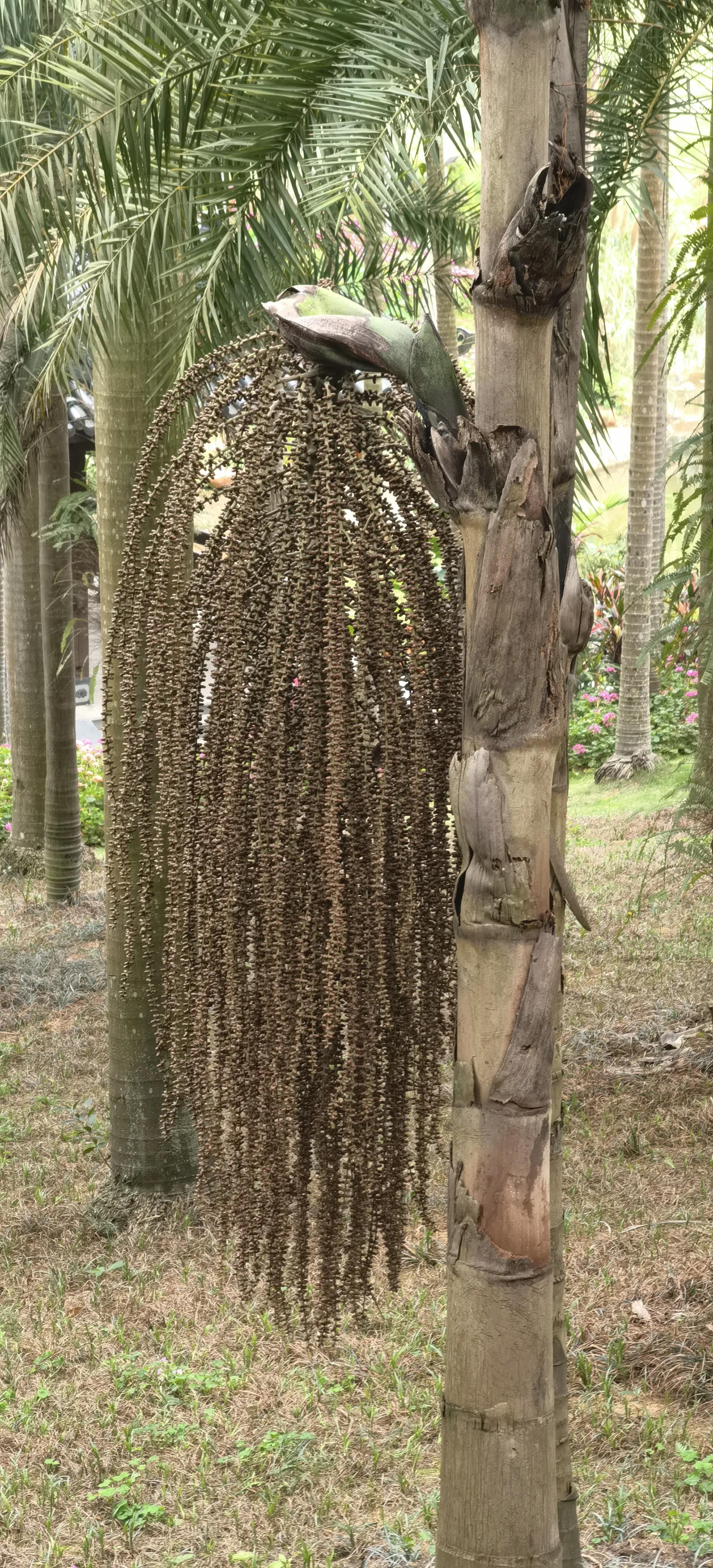旅行日记记录一家人美好生活,旅行日记85天