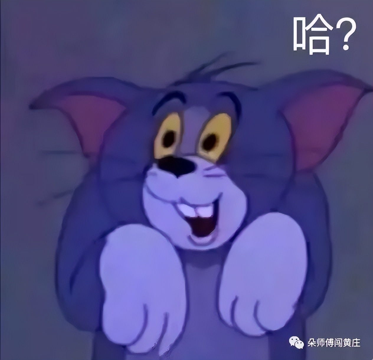 意外中签,上岸查分父母激动瞬间