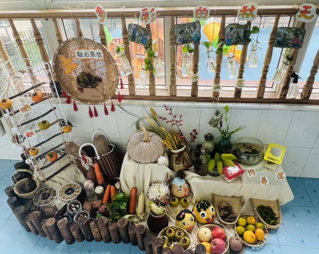 生态环创幼儿园自然角,幼儿园环创自然角实验