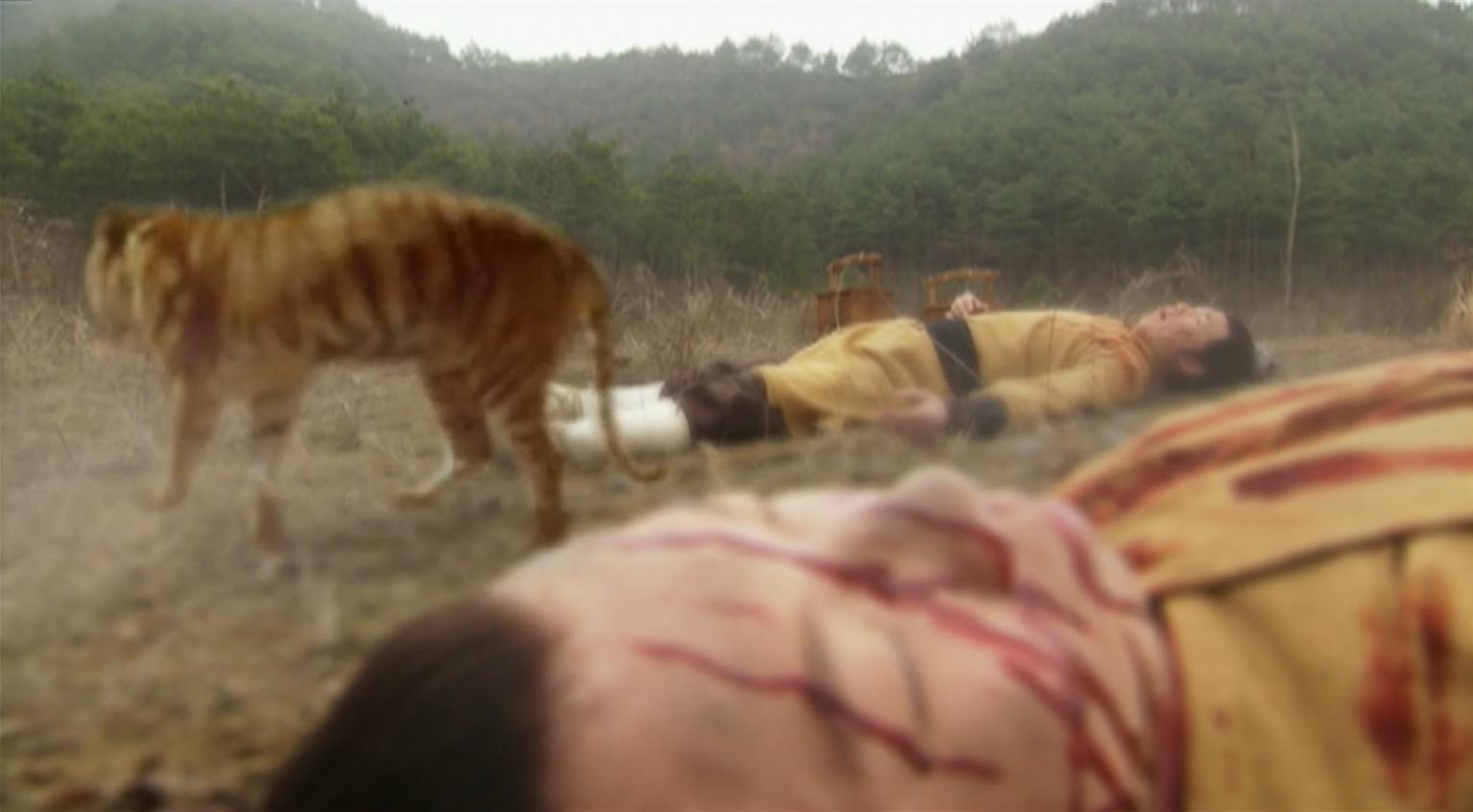 从哪里看到唐僧一心向佛,唐僧一心向佛孙悟空一心除魔