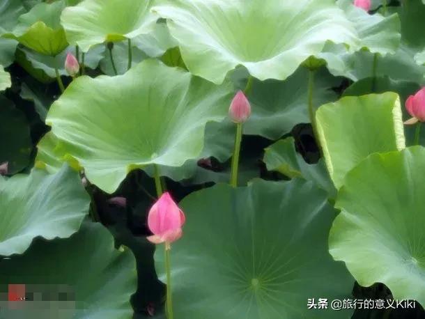 上海自驾西山旅游攻略,苏州东山一日游自驾游最佳路线图