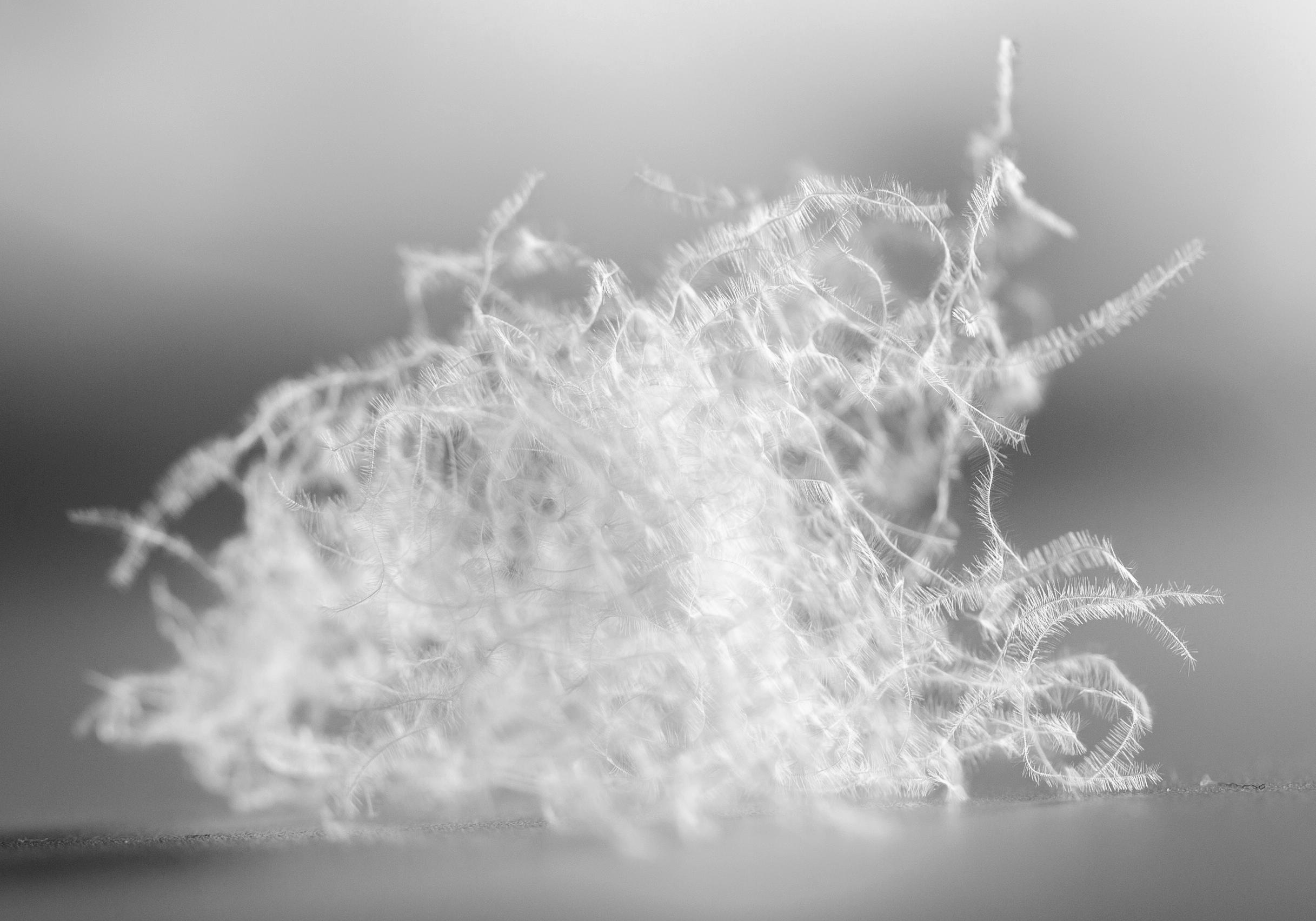 春夏秋冬适合用多大的羽绒被,如何挑选一款羽绒被