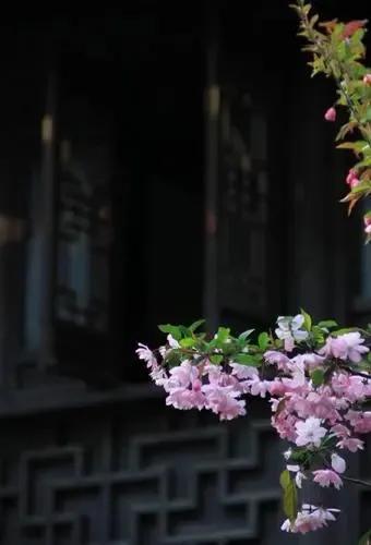 静谧时光历经沧桑,走过半生光阴