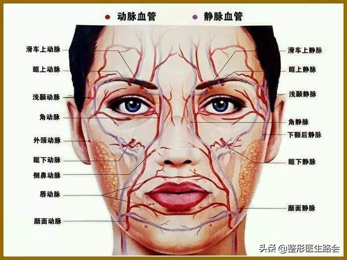 玻尿酸全脸填充年轻化,全脸玻尿酸填充真的会好看吗