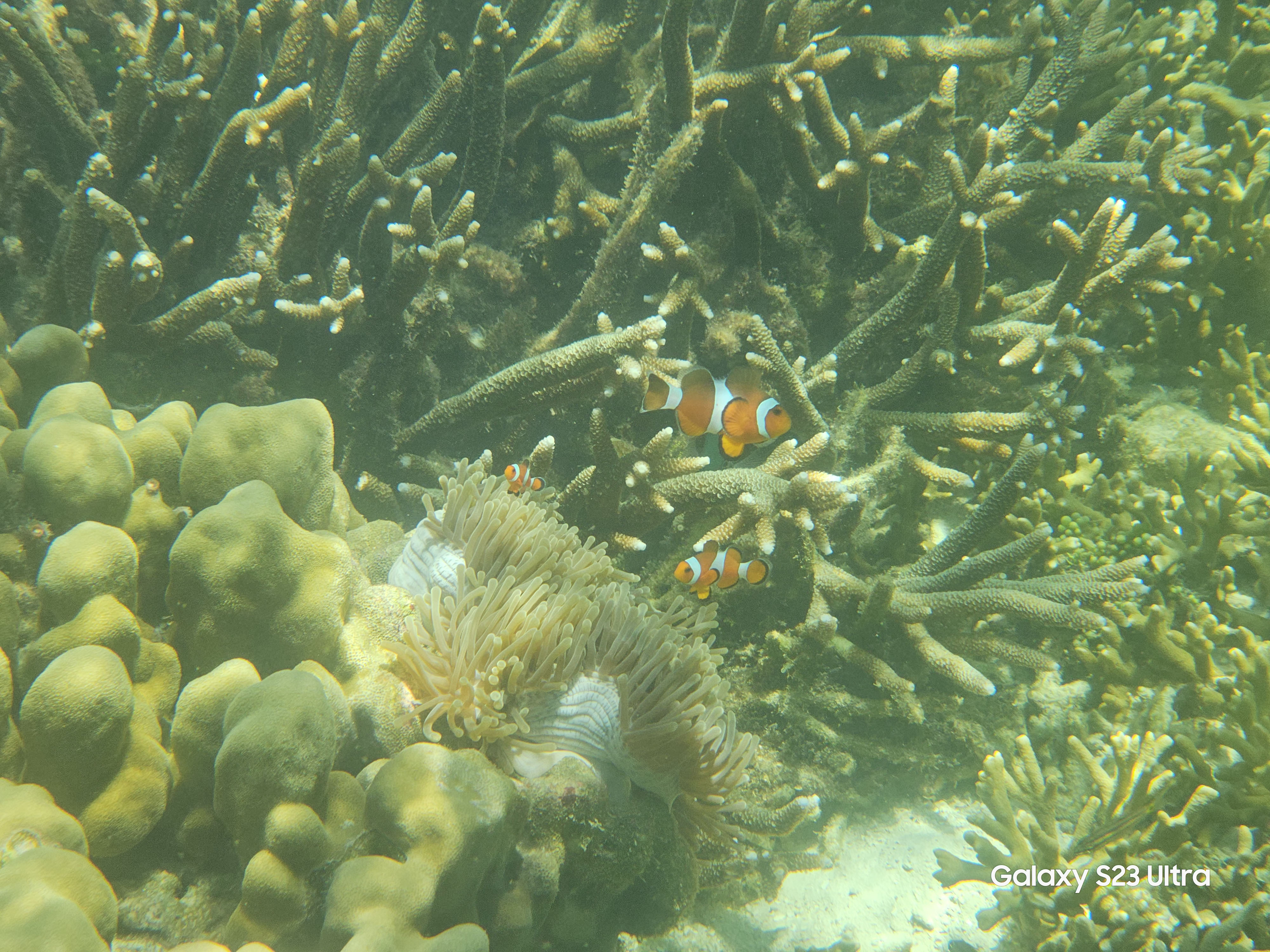 带GalaxyS23Ultra游泰国：随手记录星辰大海