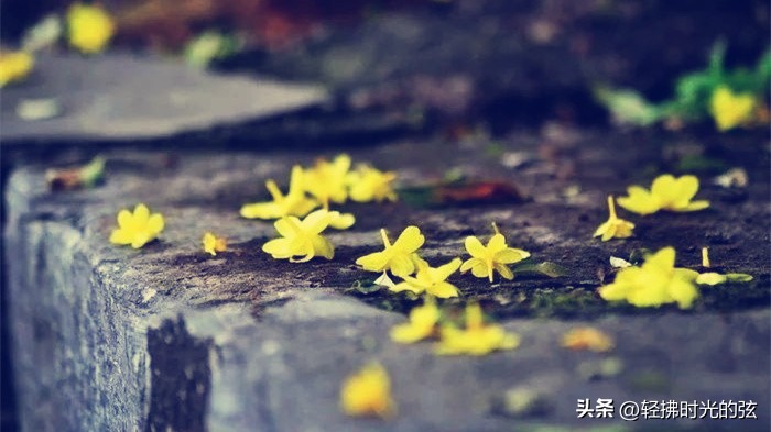 中国著名诗词大全集,诗词十大最美巅峰之作