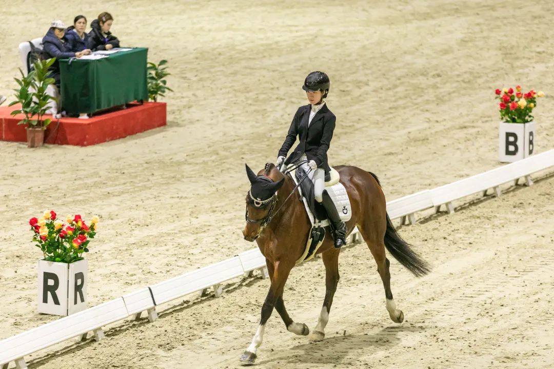 15项活动,15项活动干货满满