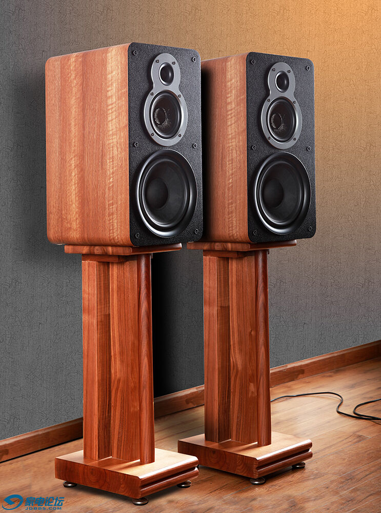 天逸童笛c8音箱评测,天逸童笛c8配什么功放