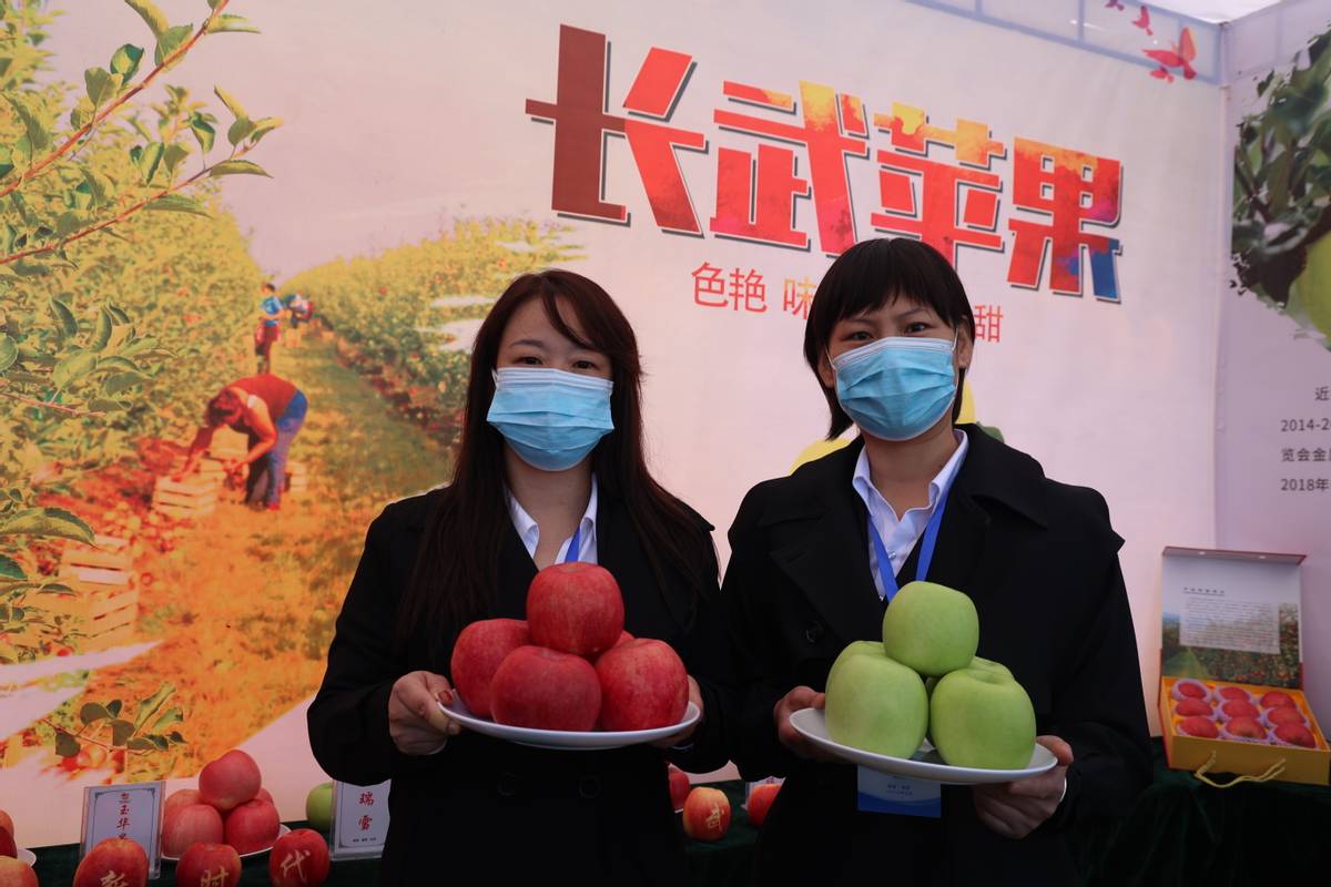 长武:多措并举打好果品宣传营销“组合拳”