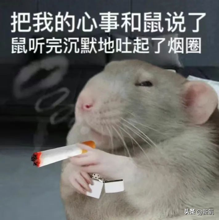 剃寸头的女生有多酷,那些剃寸头的女生