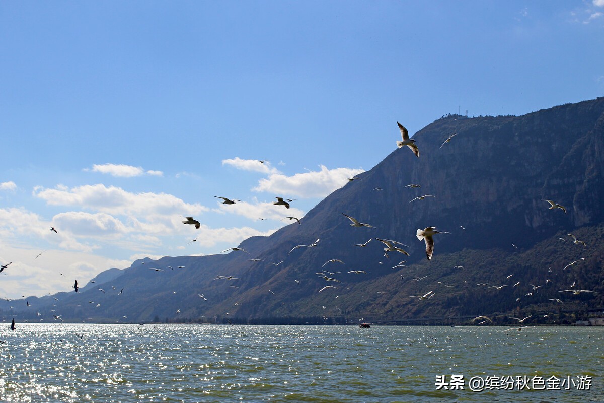 西山龙门石林金殿,昆明一日游自由行攻略石林风景区
