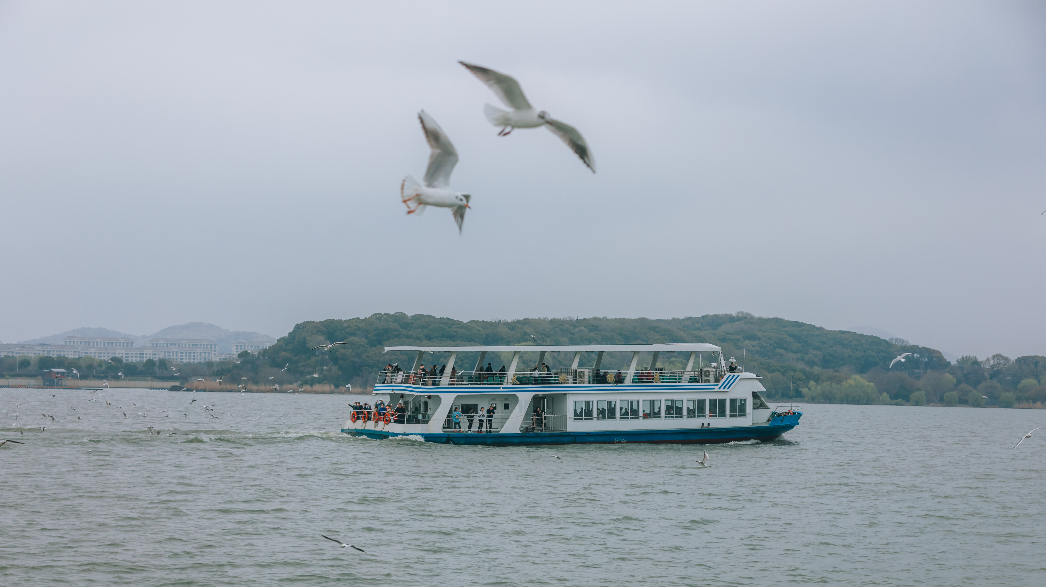 鼋头渚樱花盛宴比日本更令人沉醉,太湖鼋头渚樱花美如画