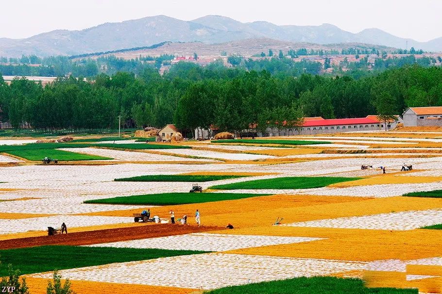 中国人文摄影获奖作品,大美中国摄影作品展获奖