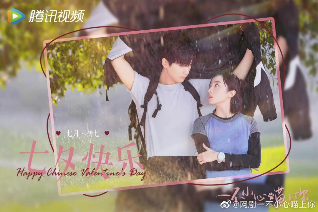 网剧上线备案通过率,网络剧备案大全