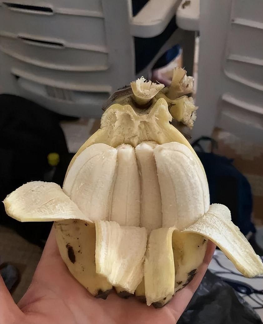 鏃ュ啗鍏借,渚靛崕鏃ュ啗鍏借