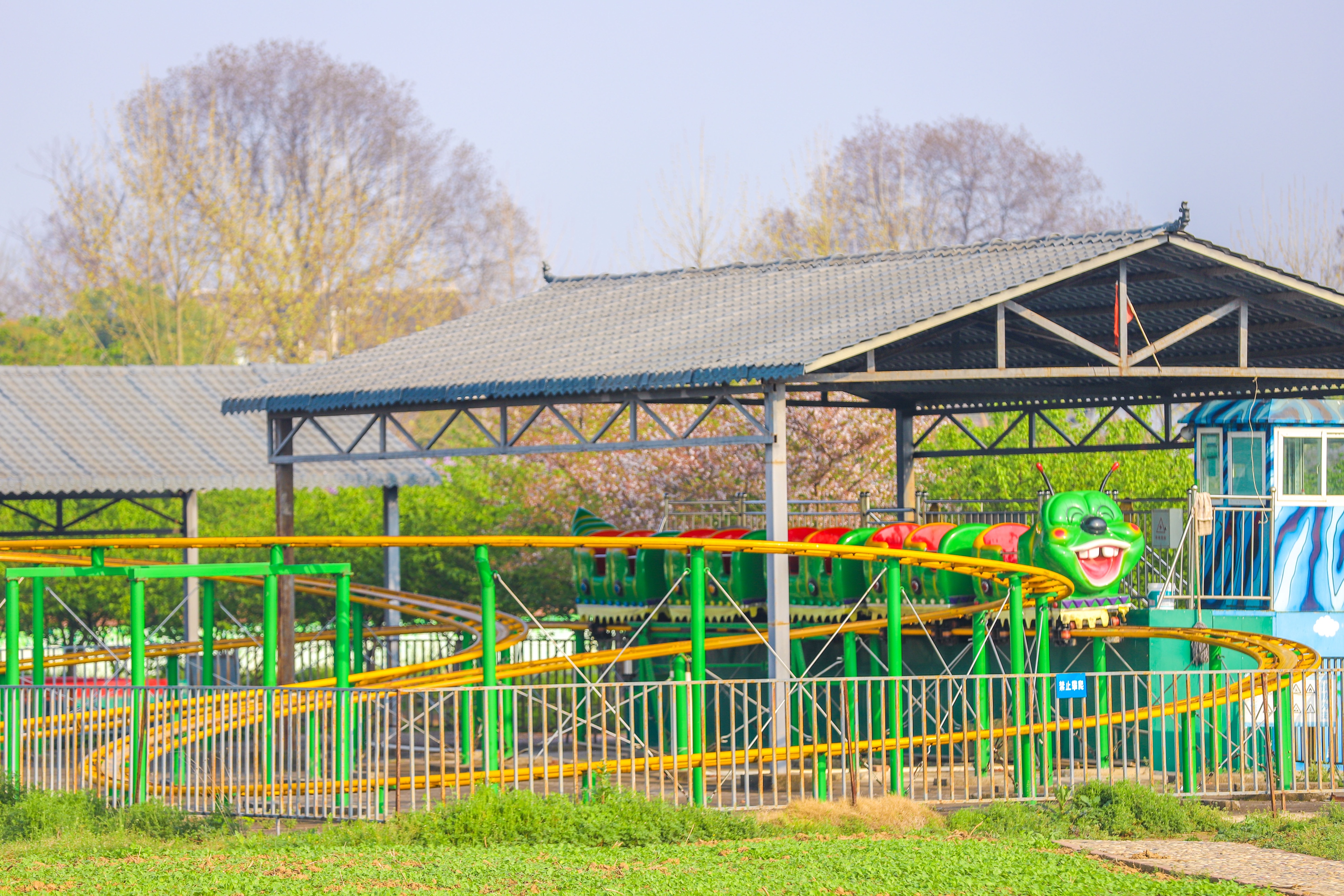 同心花海樱花航拍,踏青赏花邂逅一场浪漫樱花盛宴