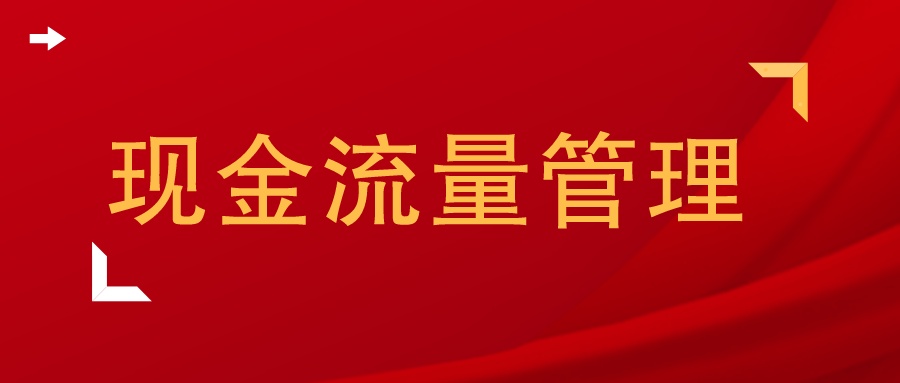 现金流量管理论文绪论,现金流量论文