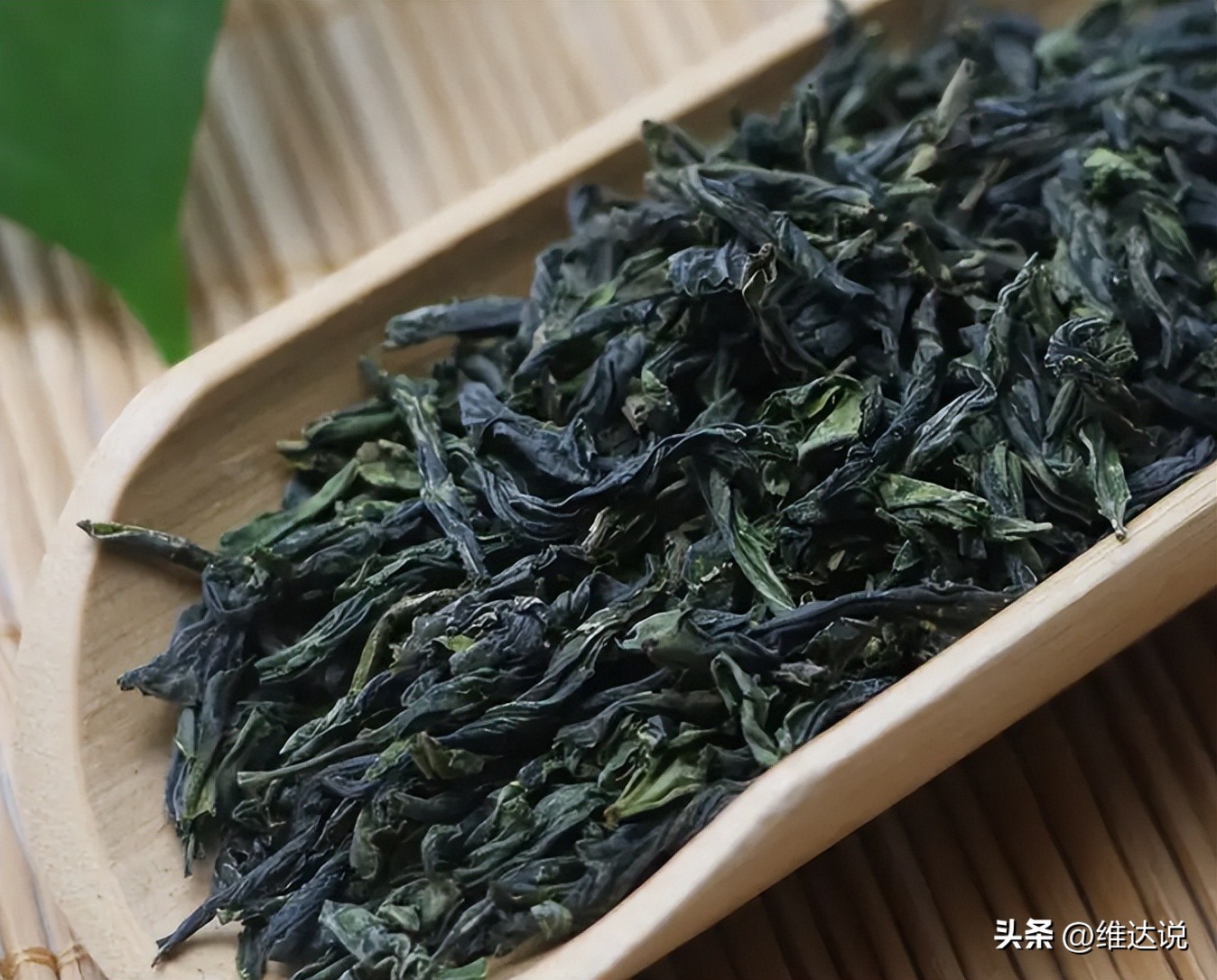 茶叶排行榜前十名最好喝的茶,所有的茶叶品牌中哪种茶最好喝