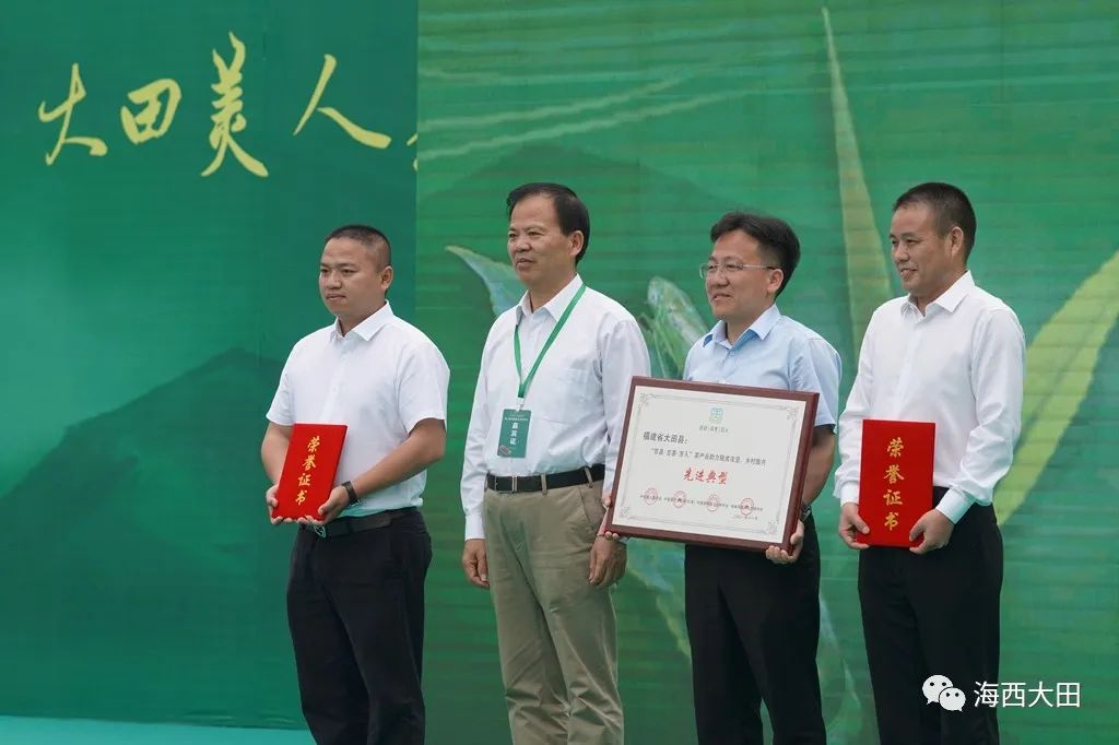 上海浦东大田美人茶迎来开茶季,海峡两岸美人茶大会福建大田举行