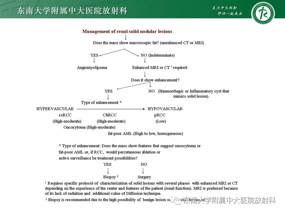 好文分享——《肾血管平滑肌脂肪瘤》