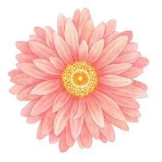 凯格尔运动产后多少天可以练习,产前凯格尔运动教学