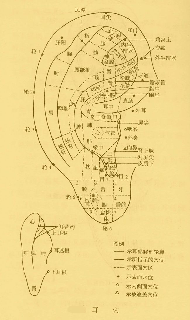 如何给孩子普及近视防控知识,400度的近视怎么样防控儿童近视