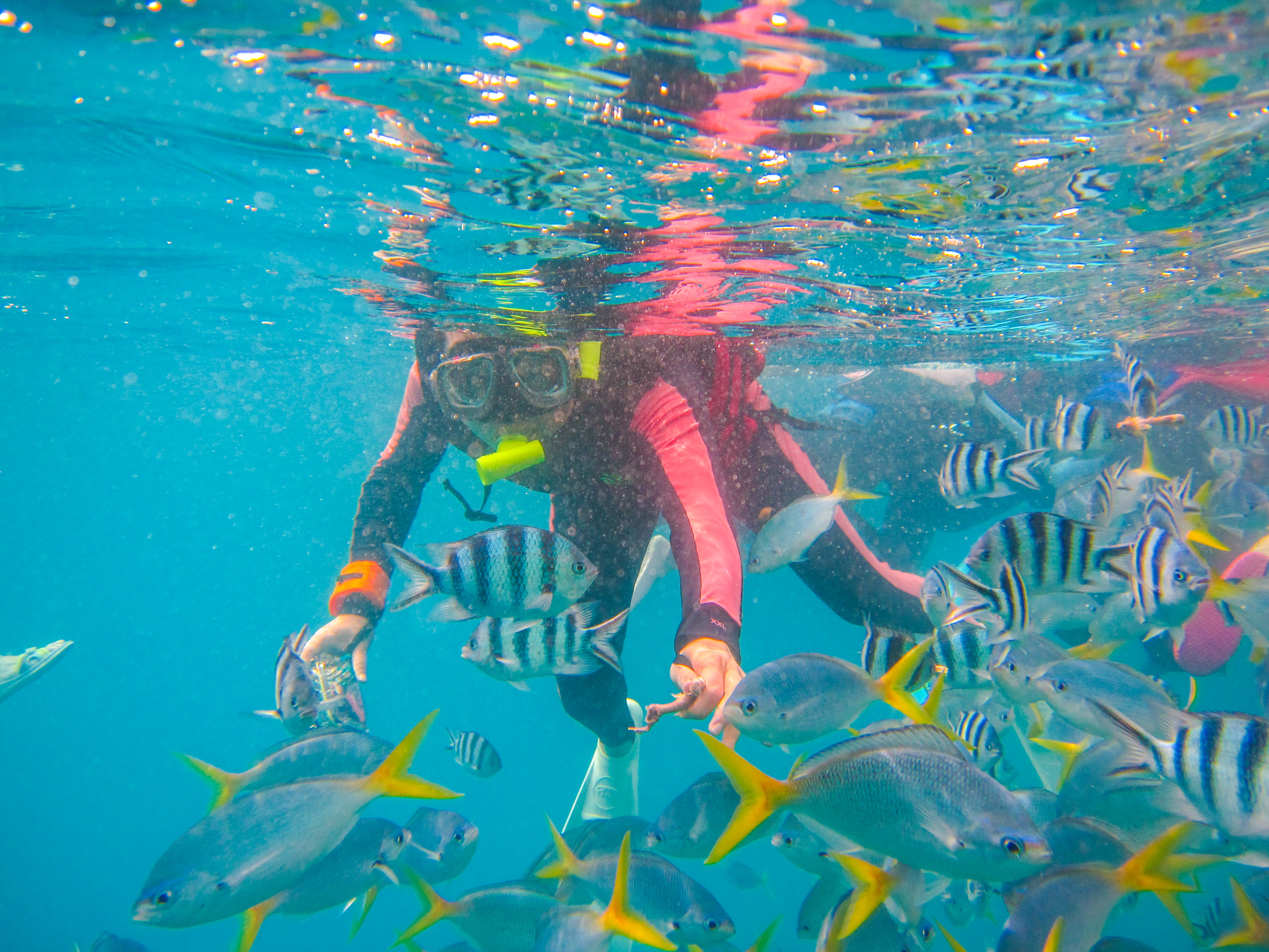 孤悬在太平洋上的岛国，帕劳，人生最值得一去的旅游目的地之一