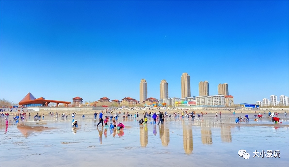 带娃赶海地点推荐去哪里,带孩子海边赶海3日游攻略