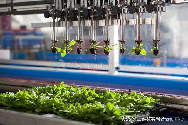 新型家庭农场的致富路,家庭农场的发展红利又将迎来高潮