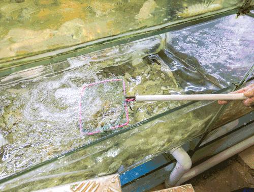 《误杀2》取景地、撑起香港娱乐圈的半壁江山，这个小城又火了