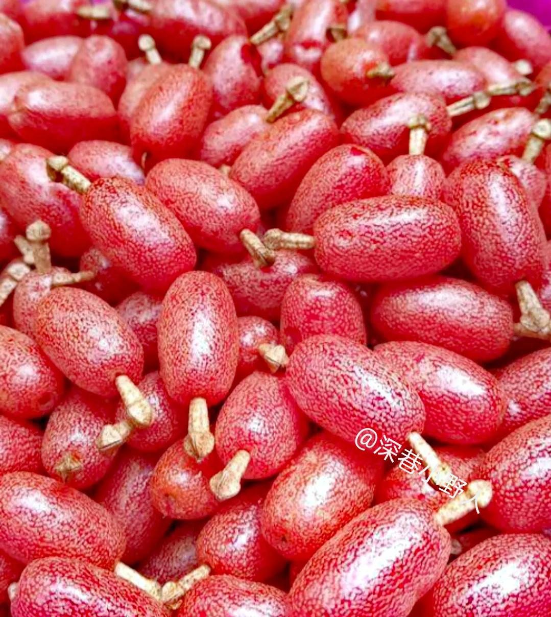 野果羊奶果学名叫什么,像羊奶果的野果比较小