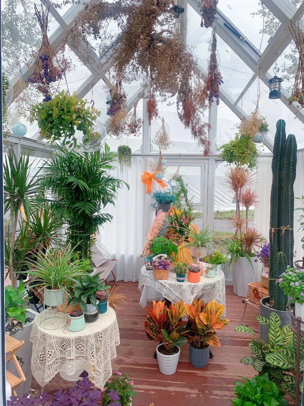 可以驱车直接上山的露营地,大自然馈赠的绝佳露营地