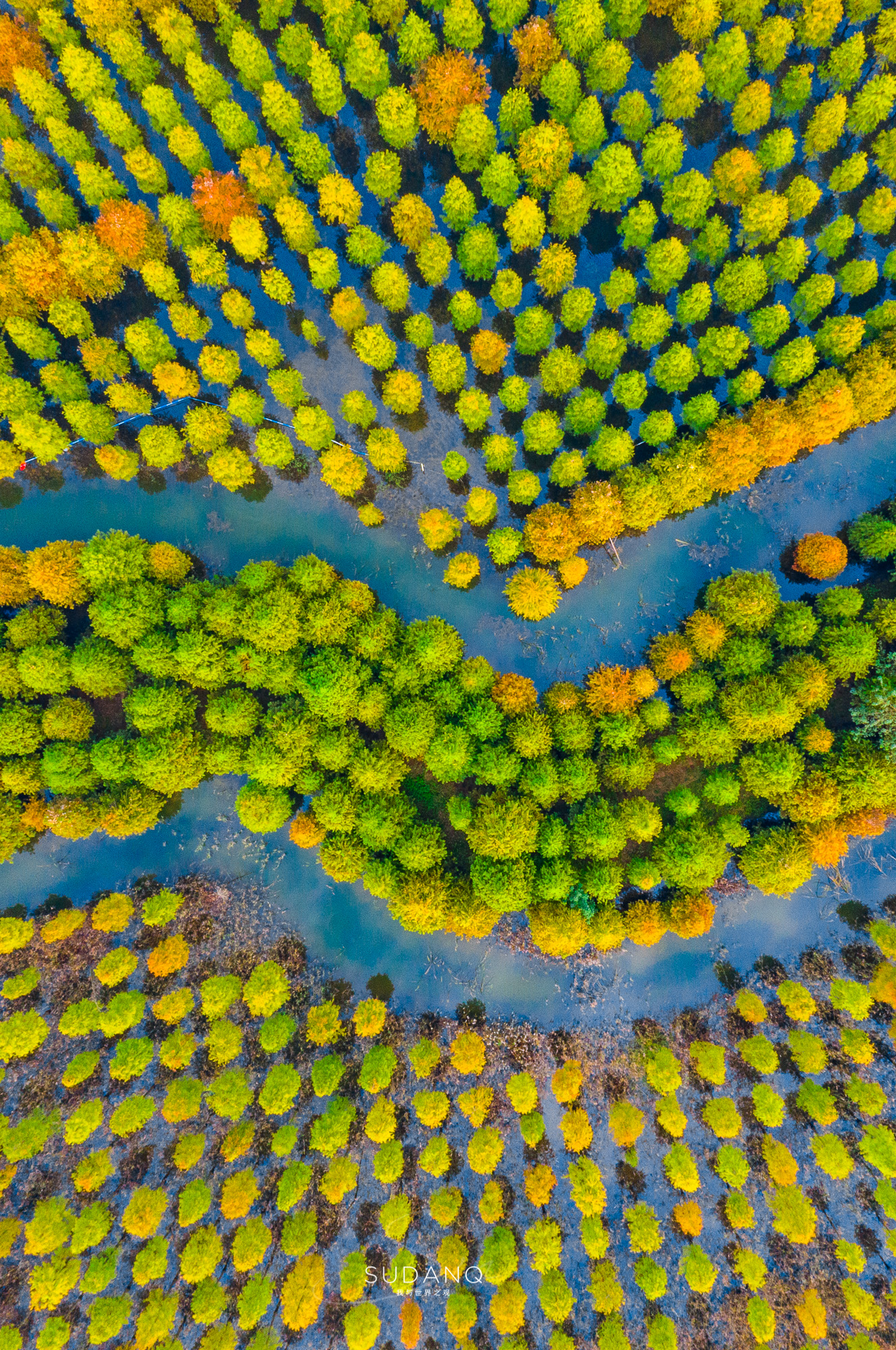 中国白酒看四川,中国白酒看贵州