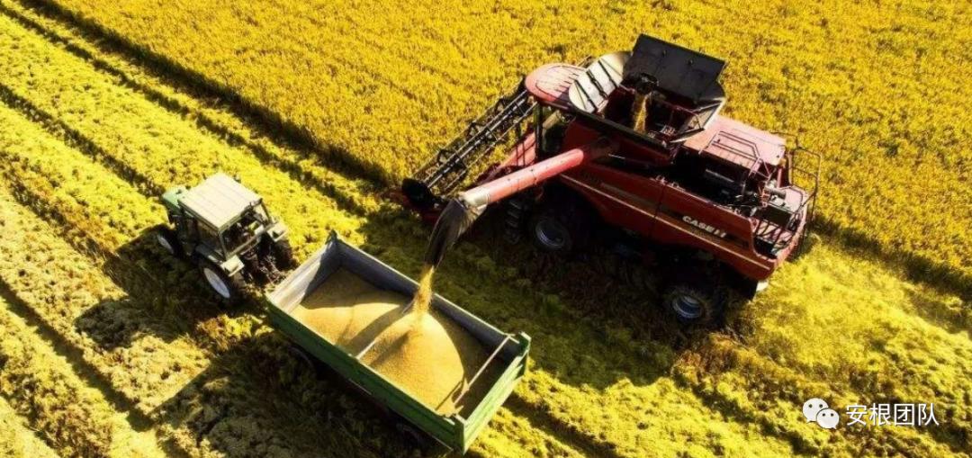 农业社会化服务实施方案,农业社会化服务重要性可行性分析