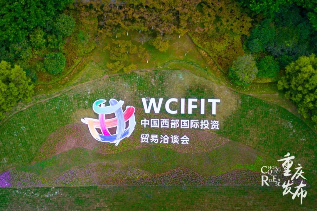 国际友人来重庆,国际友人到访中国