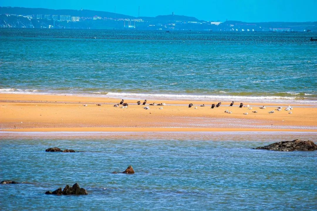 三亚最好的海滨小城,三亚最好的海边小城市
