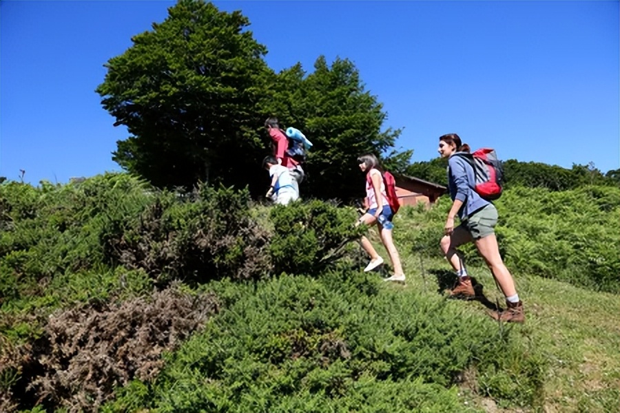 户外亲子长高运动训练儿童,周末适合孩子户外消耗体力的运动