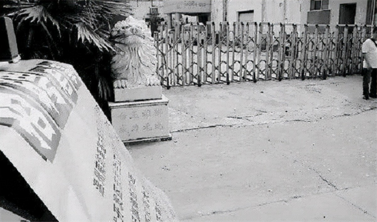 温州一代鞋王,温州一代鞋王完整版