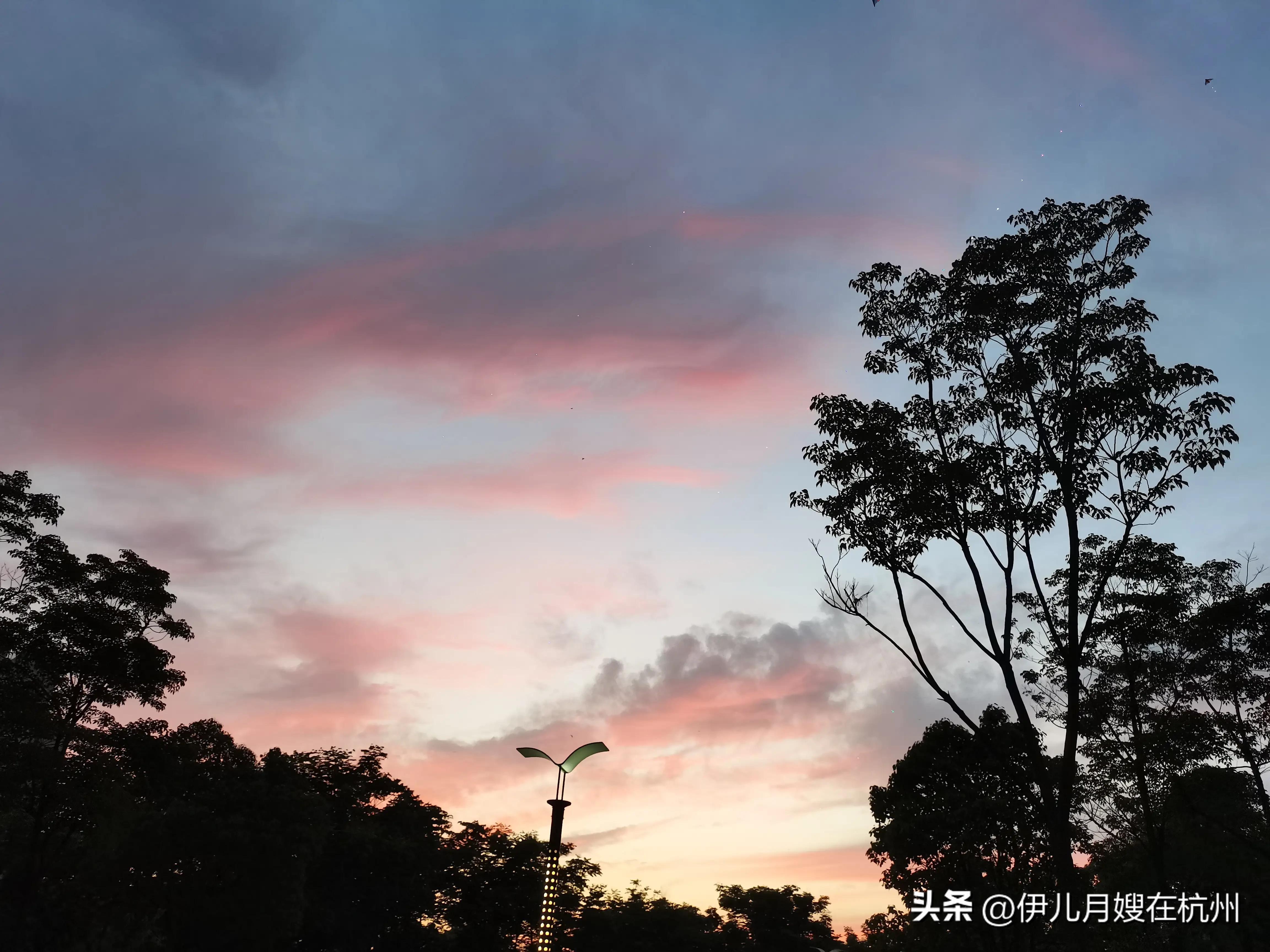 月嫂的苦和心酸只有自己知道,月嫂不为人知的黑幕