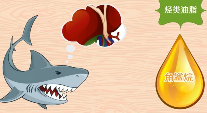 买护肤品不懂得看成分表会吃亏吗,买护肤品上面的英文看不懂