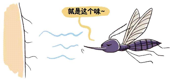 消化性溃疡为什么能做胃镜,胶囊胃镜治疗胃病