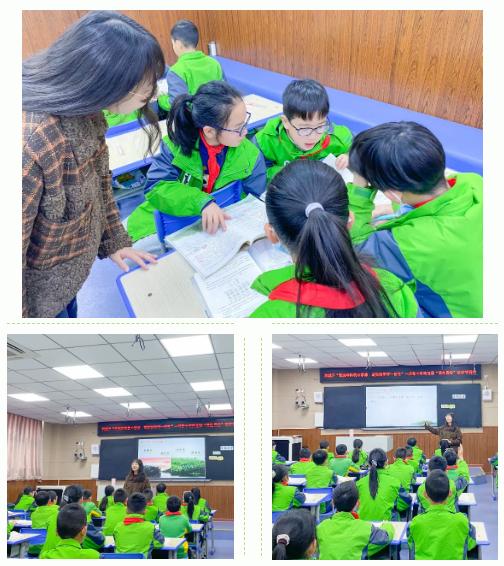 双减政策下如何开展小学科学教学,双减政策下的小学科学课堂