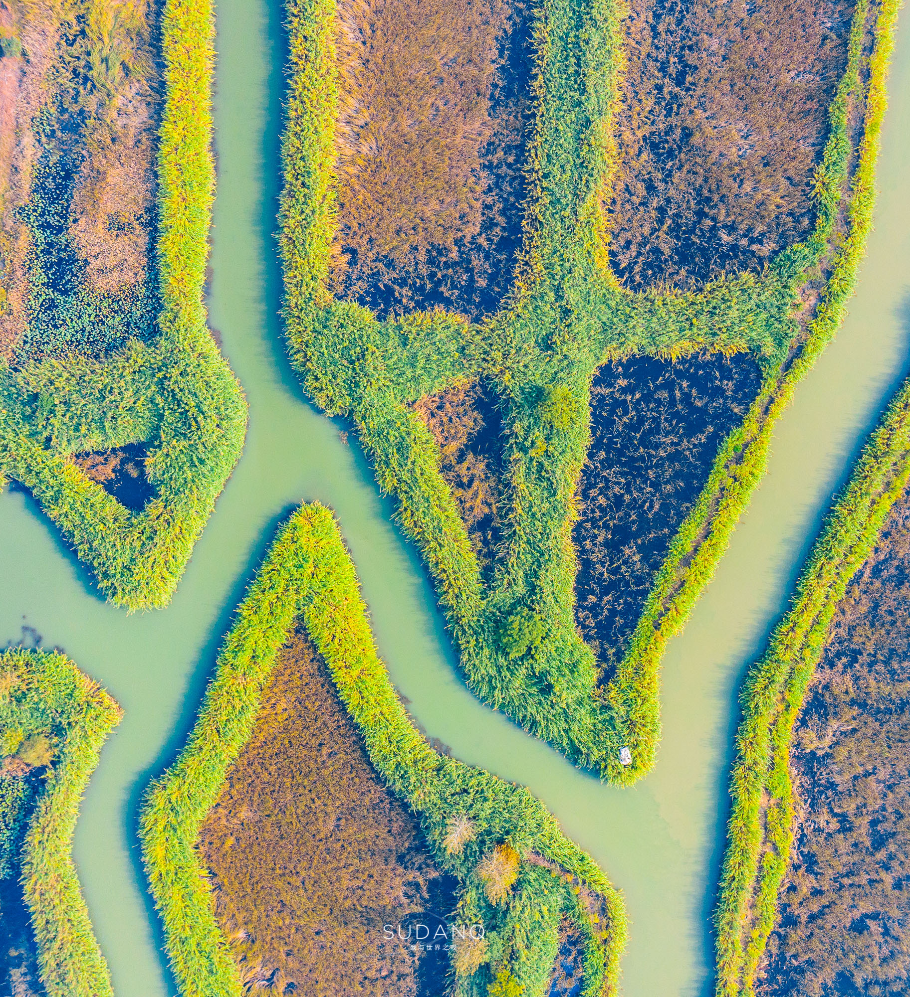 中国白酒看四川,中国白酒看贵州