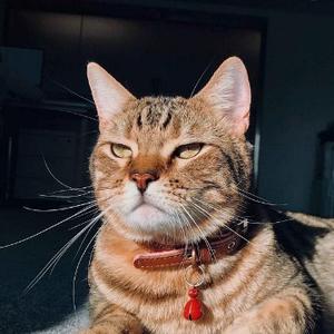 做生意赚钱的秘密方法,药店赚钱的秘密