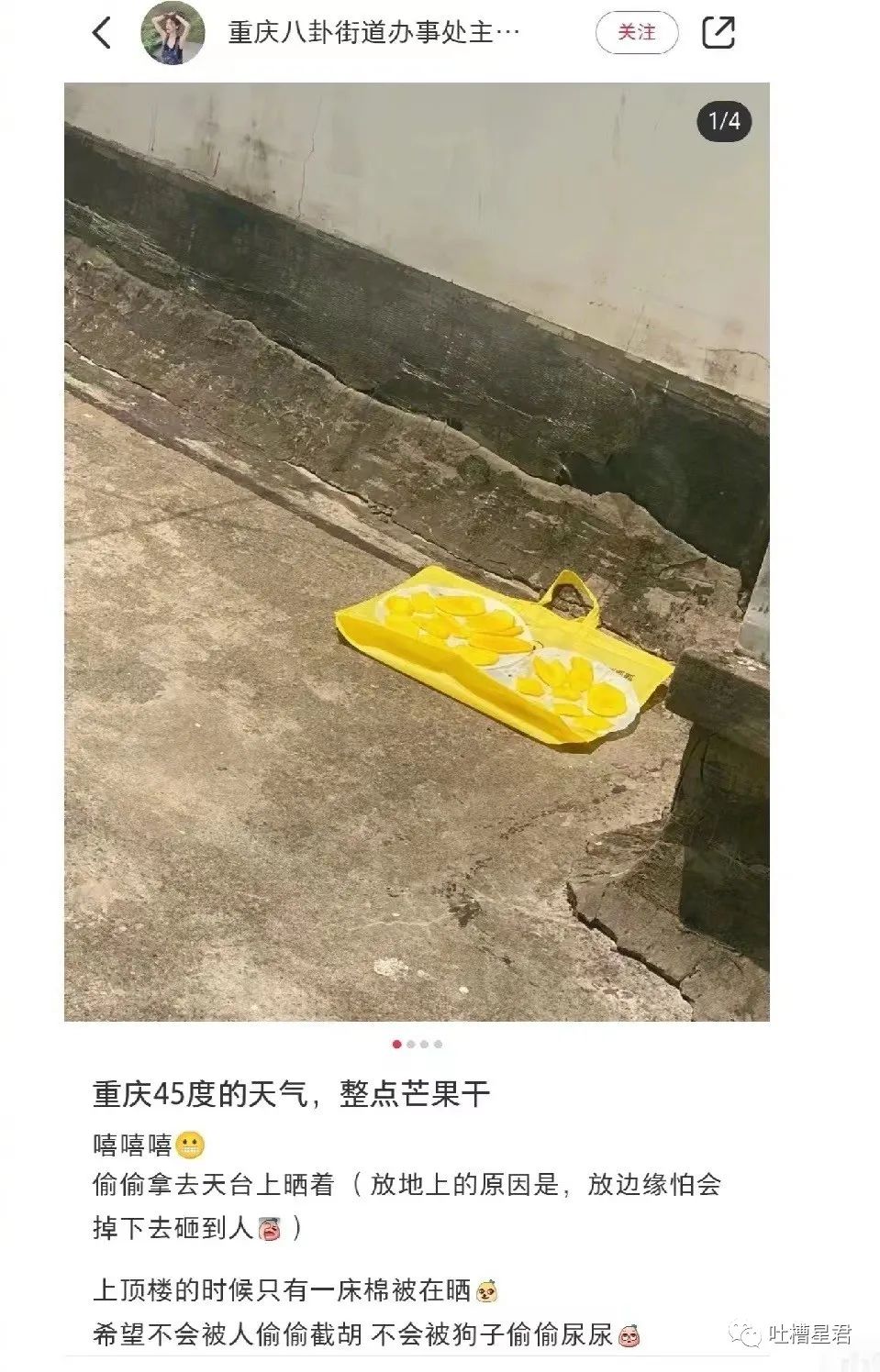 花了7400元买的gucci,花4000买gucci发夹